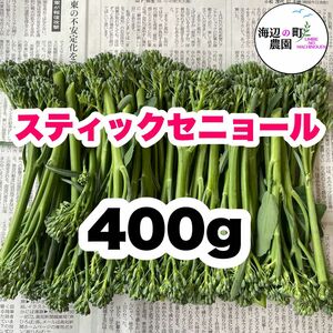 高知県産　茎ブロッコリー　スティックセニョール　野菜　農家直送！ M