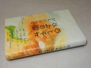 A2334〔即決〕署名(サイン)イラスト『四とそれ以上の国』いしいしんじ(文藝春秋)2008年初版・帯〔状態：並/多少の痛み等があります。〕