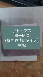 リトープス　大型系種子MIX　４０粒