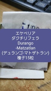 エケベリア　ダクチリフェラ, Durango-Matzatlan 種子15粒