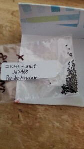 コピアポア　コルムナ-アルバ JN2468 種子5粒
