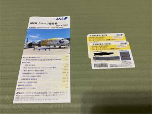 送料無料　ANA 全日空 株主優待券 ２枚・グループ優待券 (2024年11月30日までに搭乗） 