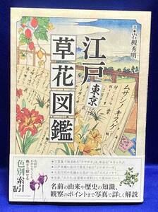 江戸東京草花図鑑◆岩槻秀明、エクスナレッジ、2021年/T609