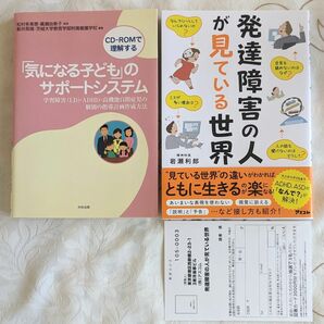 発達障害の人が見ている世界 「気になる子ども」のサポートシステム 学習障害・ADHD・高機能自閉症児の個別の指導計画作成方法