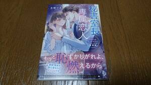 蜜夢文庫★秘書室長の専属恋人★水城のあ★yuiNa★3月新刊★帯付♪