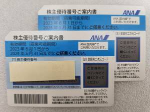 【送料無料・迅速対応】ANA 株主優待券　2024年5月31日　2枚セット