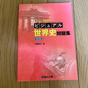 ビジュアル世界史問題集 （駿台受験シリーズ） （改訂版） 佐藤專次／著