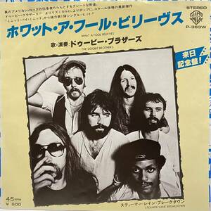 The Doobie Brothers What A Fool Believes ドゥービー ブラザーズ Steamer Lane Breakdown 7inch 7インチ 45 EP 国内盤 Aretha Franklin