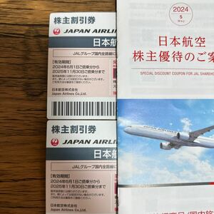 JAL（日本航空）　株主割引券2枚　優待パンフレット付き