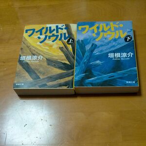 【垣根涼介】ワイルド・ソウル　上下巻