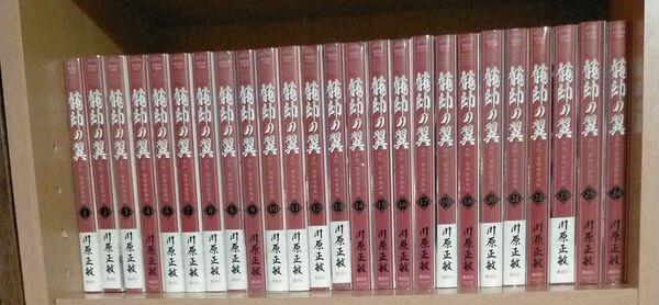 【川原正敏】龍帥の翼　全25巻