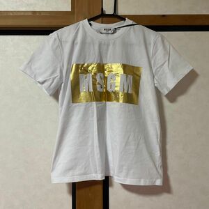 MSGM Tシャツ