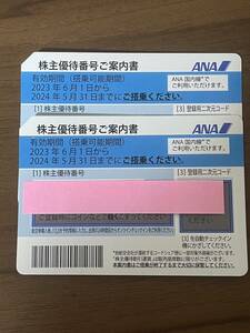 ※ ANA (全日空) 株主優待券 2024年5月31日まで 　2枚あります彡