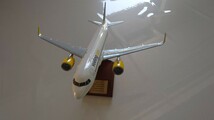 ブエリング航空　エアバスＡ320 模型_画像2