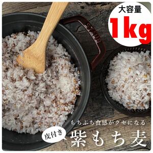 無添加 国内産 皮付き 紫もち麦 1kg ダイシモチ　もち麦　こめたつ