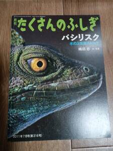 バシリスク　月刊 たくさんのふしぎ 2011年 07月号　嶋田忠（文・写真）　[m1804]