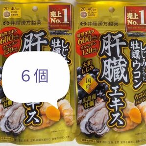 016-6　井藤漢方製薬 しじみの入った牡蠣ウコン肝臓エキス 120粒 6袋セット しじみ ウコン しじみウコン しじみ牡蠣ウコン