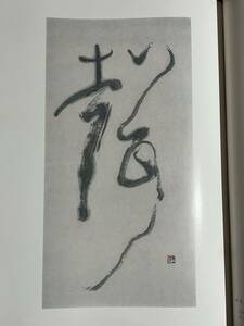 手嶋右卿　豪華本　限定1000部　大型本　　　書道　美術　現代美術　高知　書画　書家