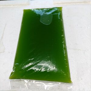 グリーンウォーター 種水500ml メダカ の 針子 稚魚 の飼育に欠かせない魔法の水 餌 エサ 金魚 錦鯉 水質管理 水質調整