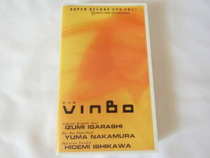 フジテレビ VINBO ビンボ VHSビデオ Vol.11 石川秀美 中村由真 五十嵐いづみ 井上美樹