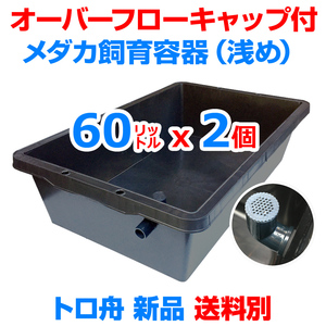 メダカ飼育ケース【60㍑トロ舟 2個 オーバーフローキャップ付】送料別 めだか飼育容器 金魚 メダカ掬い ビオトープ 水草【五色アクア】