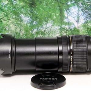 ☆軽くて近くも遠くも撮れる超便利な1本♪TAMRON 28-300mm XR LD canon用♪色調調整出来る高性能レンズフィルター付きの画像7