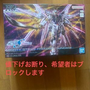 HG マイティーストライクフリーダムガンダム 新品未開封品 即日発送 ガンダムSEED FREEDOM