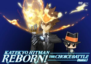 【中古】家庭教師ヒットマンREBORN! 未来チョイス編【Choice.1】 [DVD]