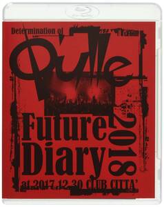 【中古】Determination of Q'ulle「Future Diary 2018」 at 2017.12.30 CLUB CITTA'(B