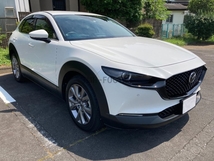 【送料無料】新品 マツダ CX-30 シグネチャーウイングカバー CX30 mazda フロントバンパーグリルスポイラー ブラック _画像6