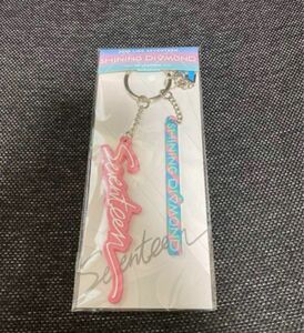 SEVENTEEN セブチ　グッズ　アクリルチャーム　アクリルキーホルダー