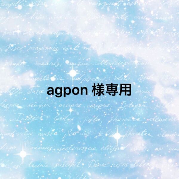 agpon 様　専用