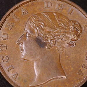 イギリス・ヴィクトリア・ハーフペニー銅貨 1855年 未使用〜極美＋  の画像5