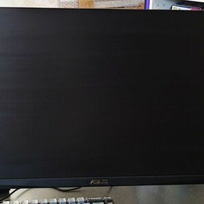 ASUS TUF Gaming VG249QM1A 23.8インチ モニター