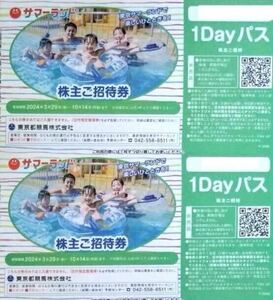 【送料無料】2024年10月14日迄★2枚夏季期間もご利用できます★東京サマーランド 株主ご招待券 1Dayパス サマーランド 東京都競馬 