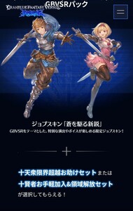 グラブルスペシャルアイテムセット グランブルーファンタジー ヴァーサス ライジングGBVSRパック ジョブスキン「蒼を駆る新鋭」コード 