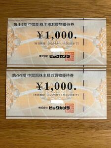 ビックカメラ コジマ 株主優待 3000円分