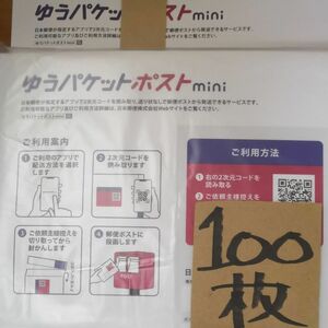 ゆうパケットポストmini 専用封筒 100枚 折り曲げずに発送させて頂きます