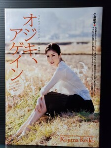 【小島 慶子】6ページ 150μ 厚手ラミネート 高品質 プレイボーイ 2011年1月10日号 切抜き B5サイズ 元TBSアナウンサー 「オジキアゲイン」