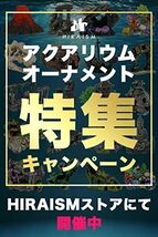 インテリア 置物 隠れ家 オーナメント アクアリウム 化石 飾り 恐竜 オブジェ 水槽_画像7