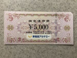 【送料無料　ネコポス匿名配送】早稲田アカデミー　株主優待券　5000円分