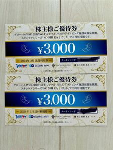 グローバルWiFi 株主優待券6000円分　ビジョン 