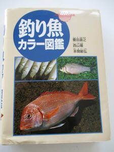 釣り魚カラー図鑑 豊田直之／西山徹/本間敏弘 著