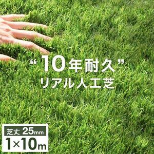 人工芝 ロール 1m×10m 芝丈25mm U字 ピン 24本セット diy 10年耐久 高密度 リアル人工芝 水はけ 高耐久 庭 ベランダ 屋上 テラス YS737