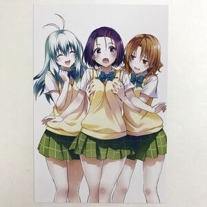 ◇ToLOVEるダークネス◇イラストカード ポストカード 籾岡&春菜&ルン