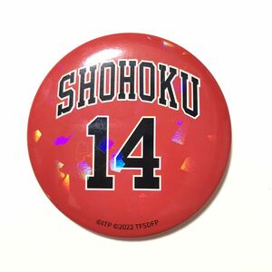 ◇THE FIRST SLAM DUNK◇背番号ホログラム缶バッジ 海外限定 正規品 三井寿