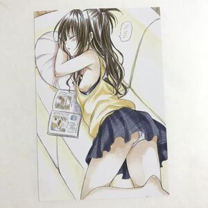 ◇ToLOVEるダークネス◇イラストカード ポストカード 美柑 昼寝 パンチラ チクチラ