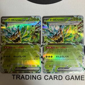 ポケモンカード　オーガポンみどりのめんex sv6変幻の仮面収録RRカード 汎用 