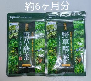 野草酵素　約6ヶ月分　80種類　野菜　果物　酵素　サプリ　サプリメント　野草酵素サプリメント　美容　ダイエット　シードコムス