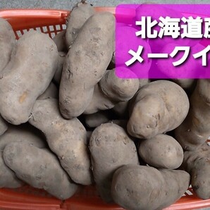 ◆北海道産　越冬じゃがいも【メークイン】訳あり品約１０キロ 